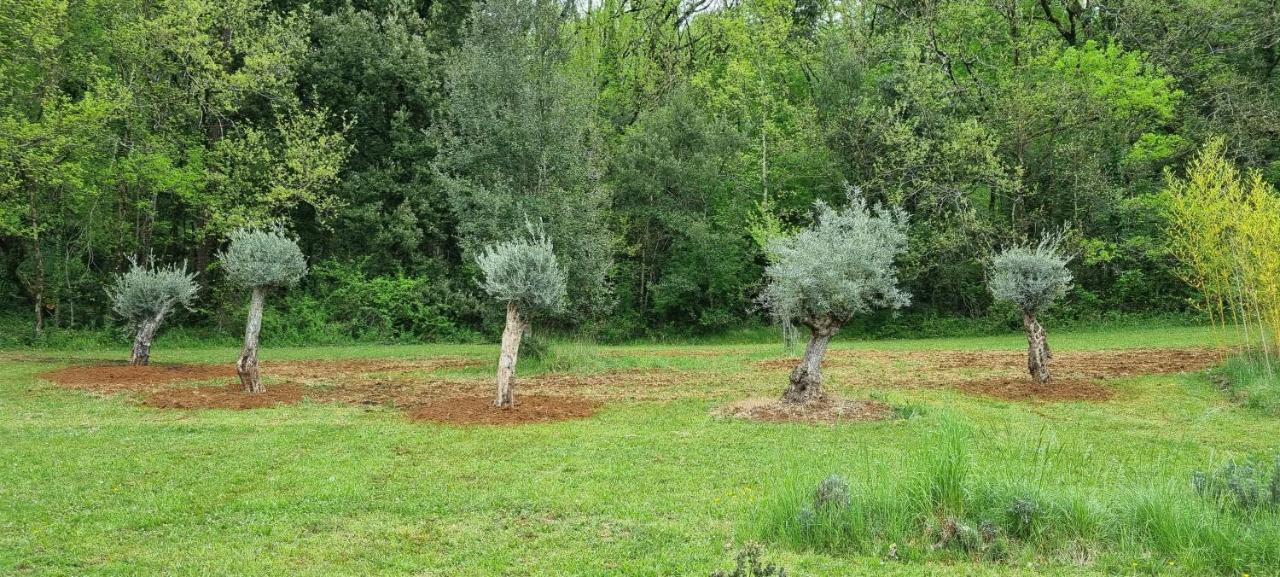 Вилла Domaine De La Queyrie Сарла-ла-Канеда Экстерьер фото
