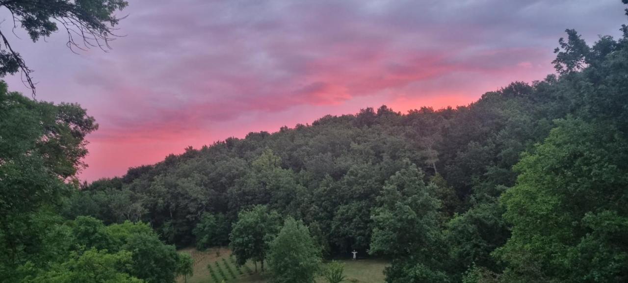 Вилла Domaine De La Queyrie Сарла-ла-Канеда Экстерьер фото